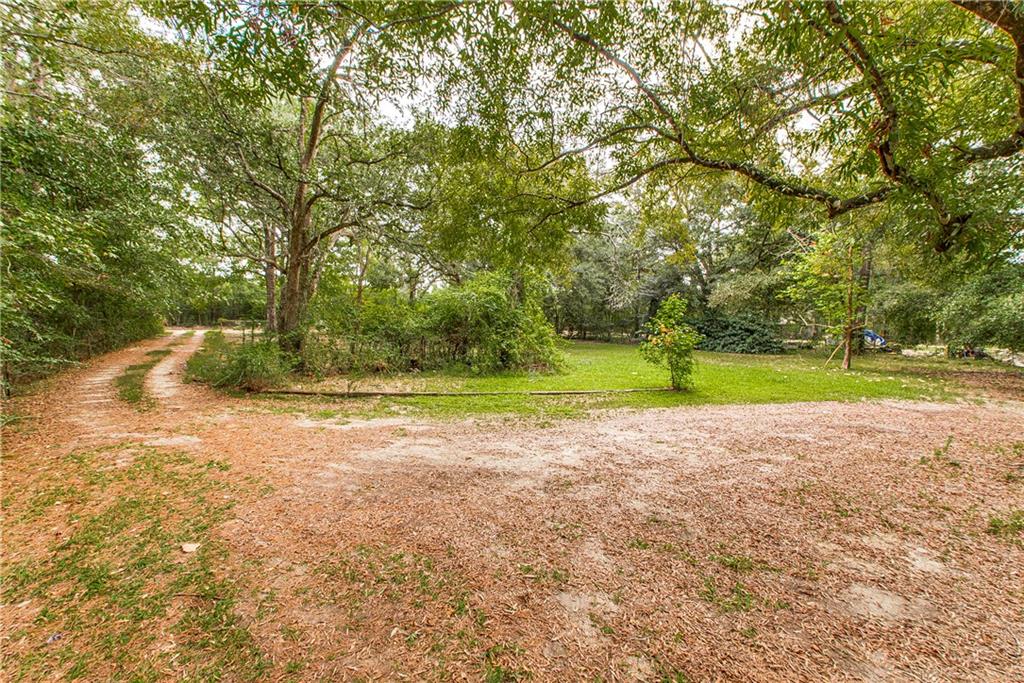 25341 Stepp Road, Robert, Louisiana image 2