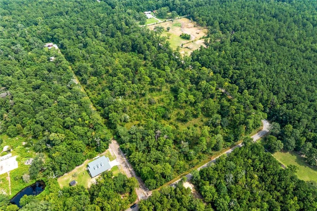 Perkins Road, Lacombe, Louisiana image 1