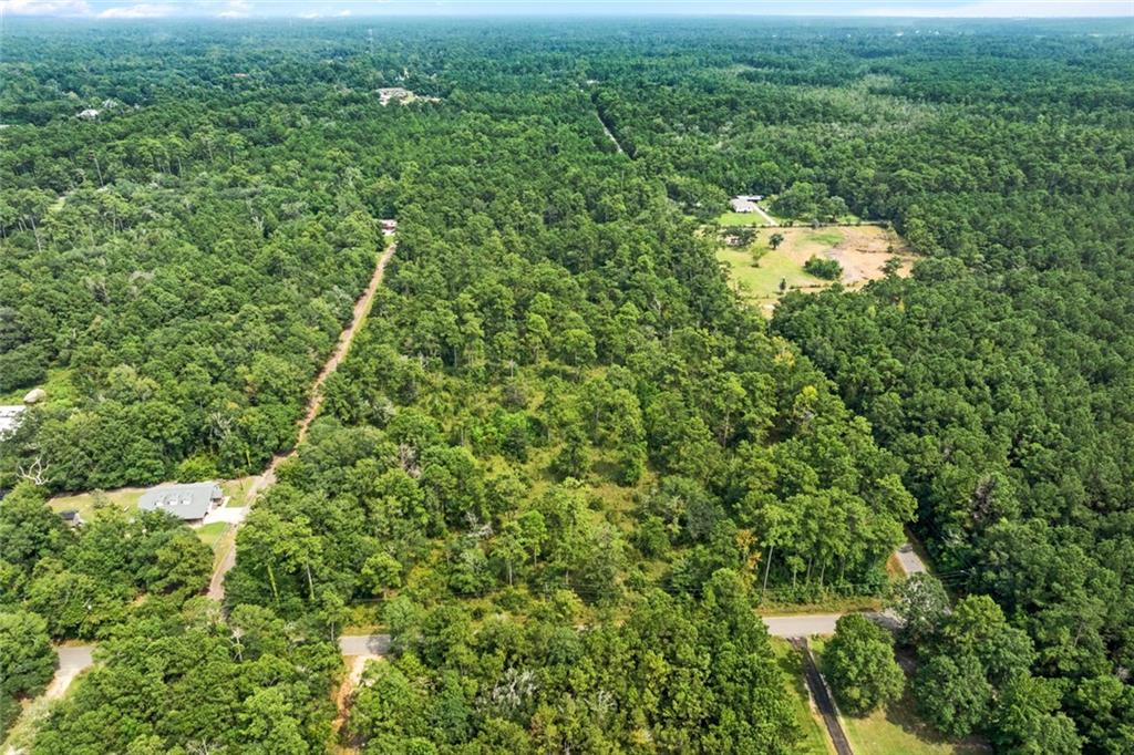 Perkins Road, Lacombe, Louisiana image 9