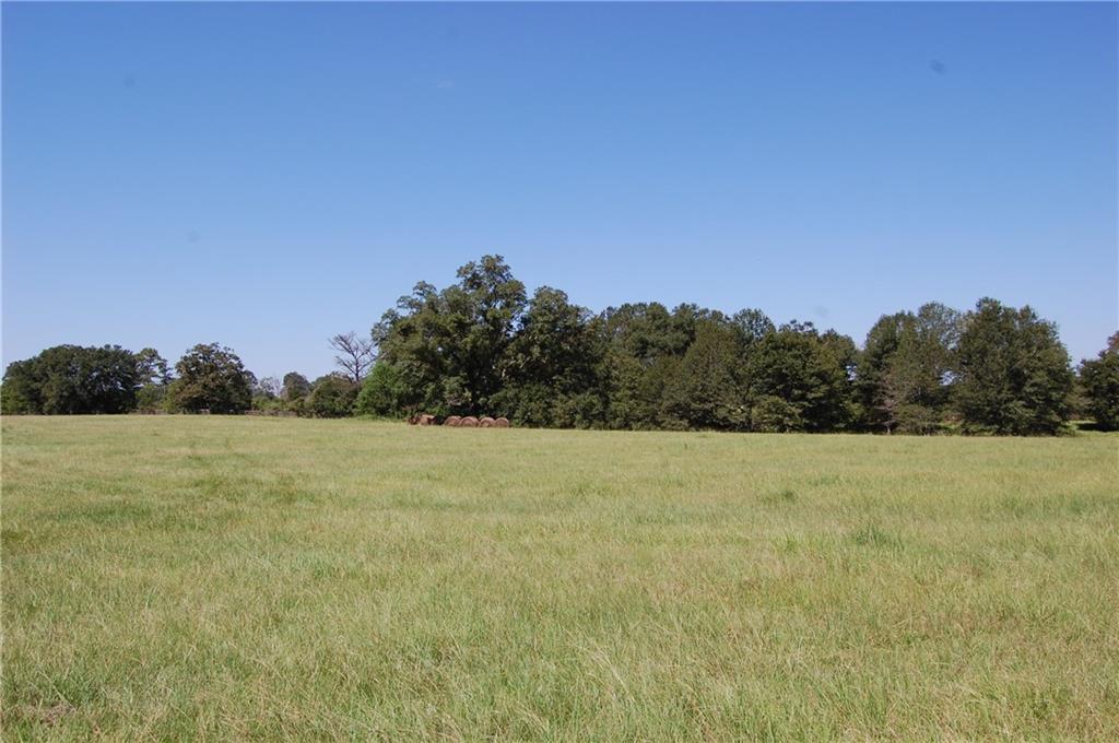 80 Acres La Tung Road, Covington, Louisiana image 10