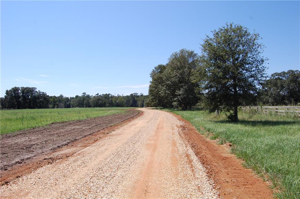 80 Acres La Tung Road, Covington, Louisiana image 12