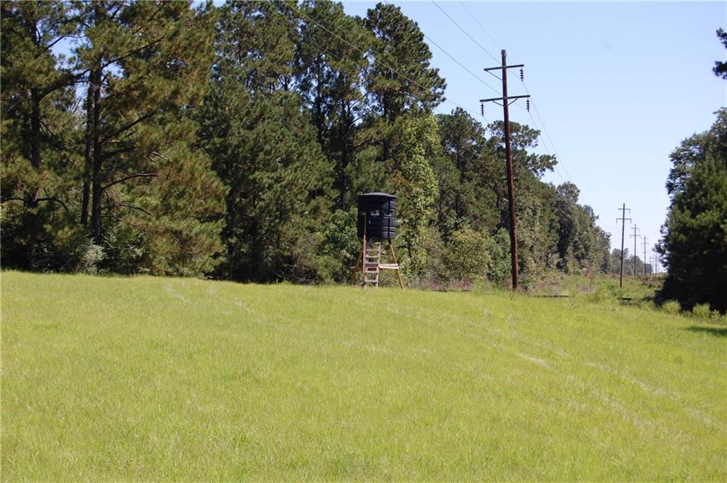 80 Acres La Tung Road, Covington, Louisiana image 13