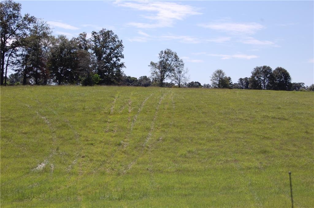 80 Acres La Tung Road, Covington, Louisiana image 16