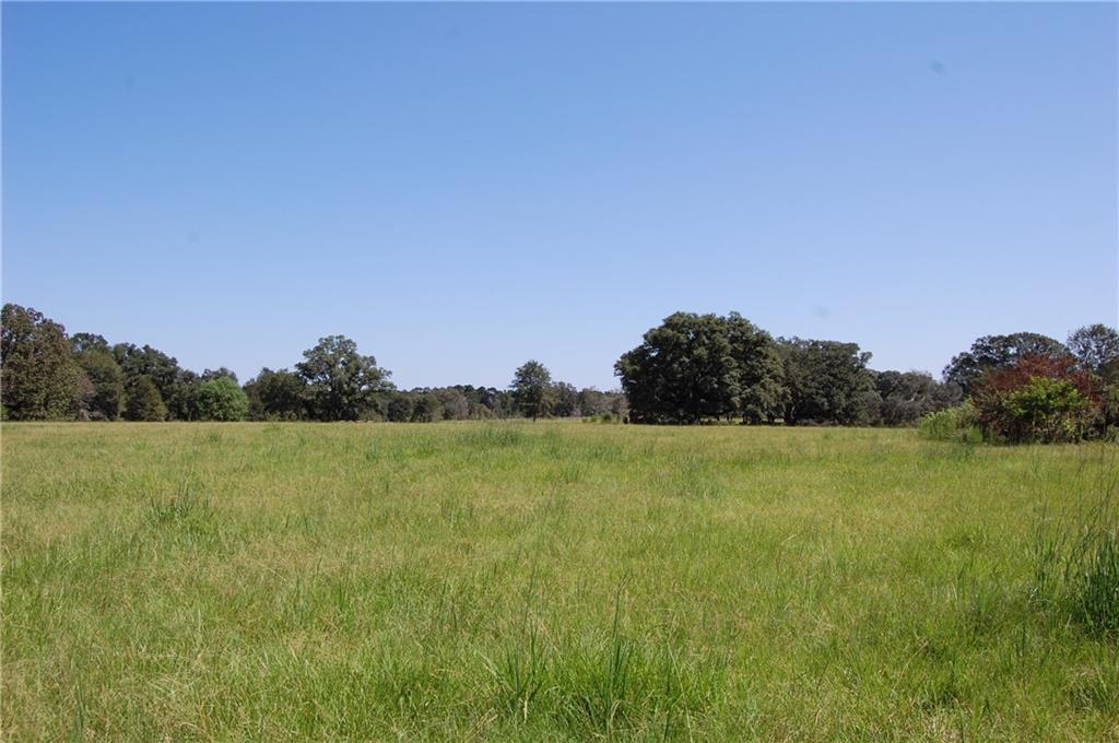 80 Acres La Tung Road, Covington, Louisiana image 20