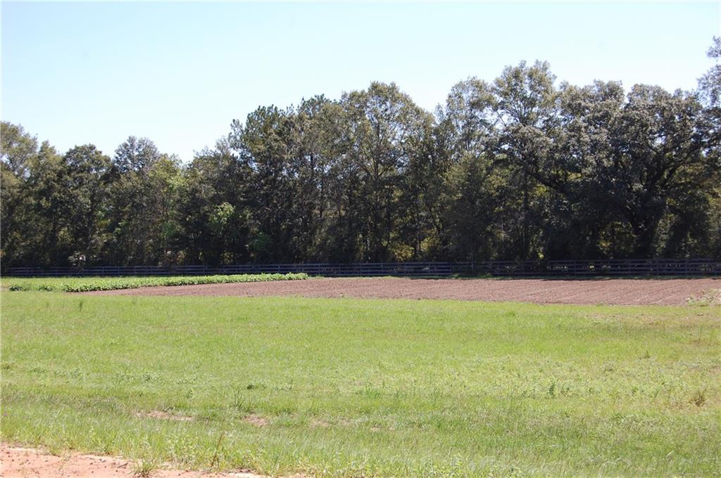 80 Acres La Tung Road, Covington, Louisiana image 22