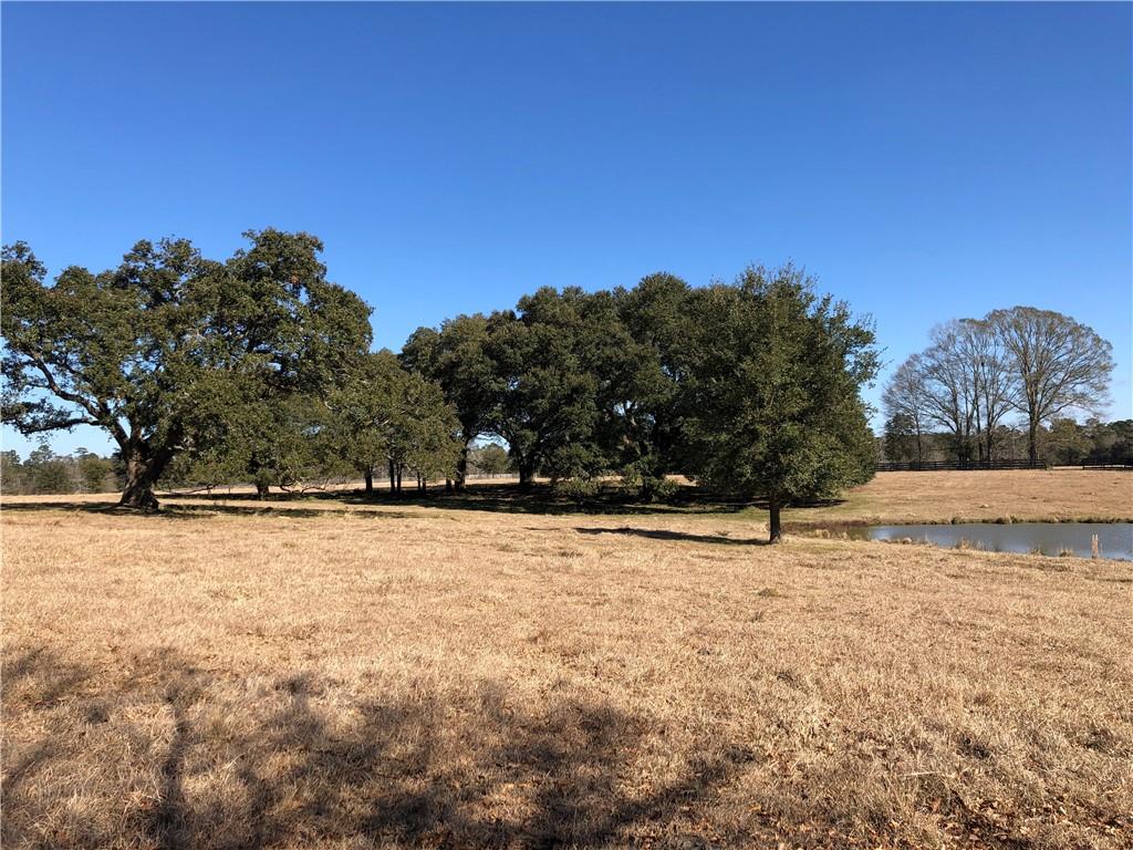 80 Acres La Tung Road, Covington, Louisiana image 26