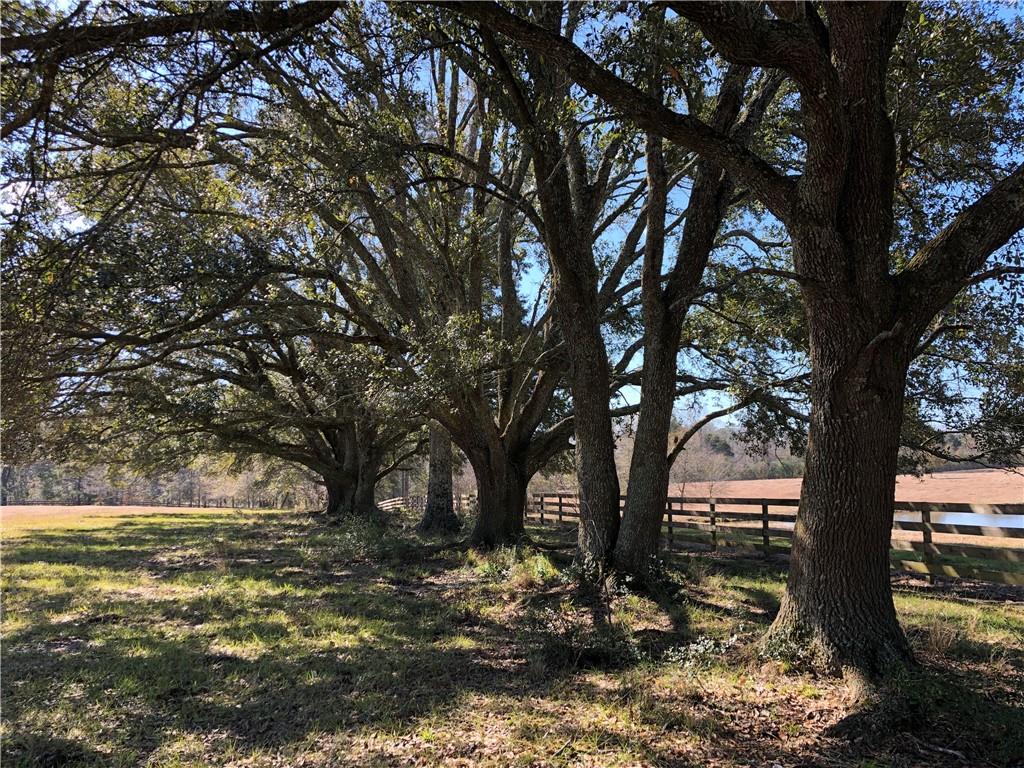 80 Acres La Tung Road, Covington, Louisiana image 31