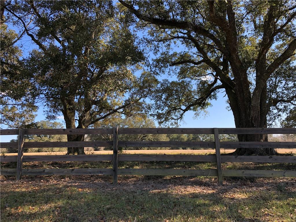 80 Acres La Tung Road, Covington, Louisiana image 32