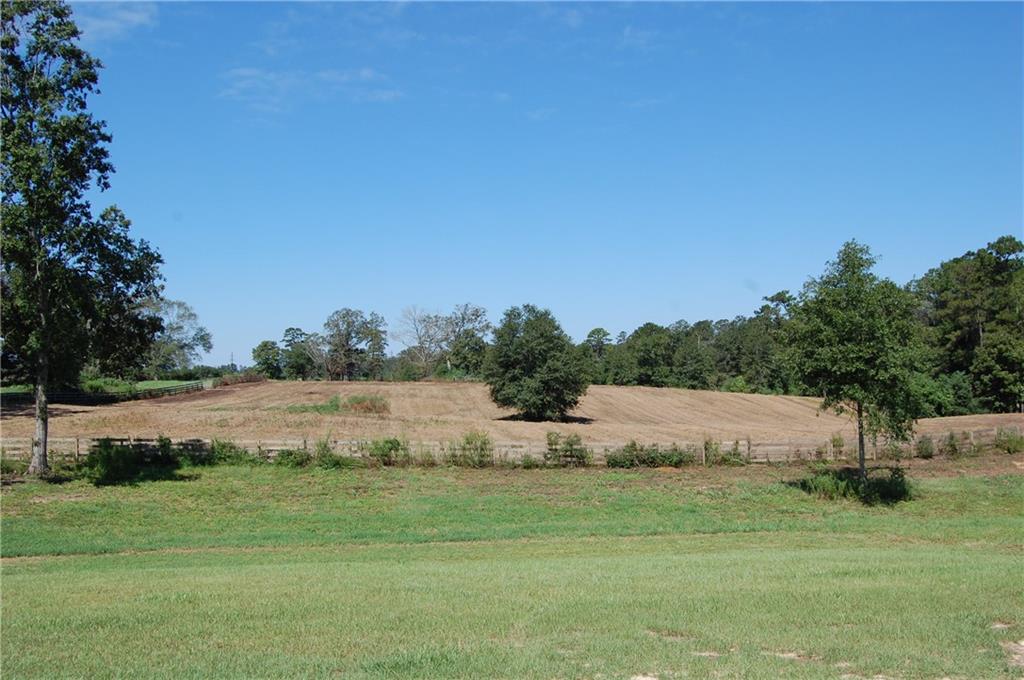 80 Acres La Tung Road, Covington, Louisiana image 34