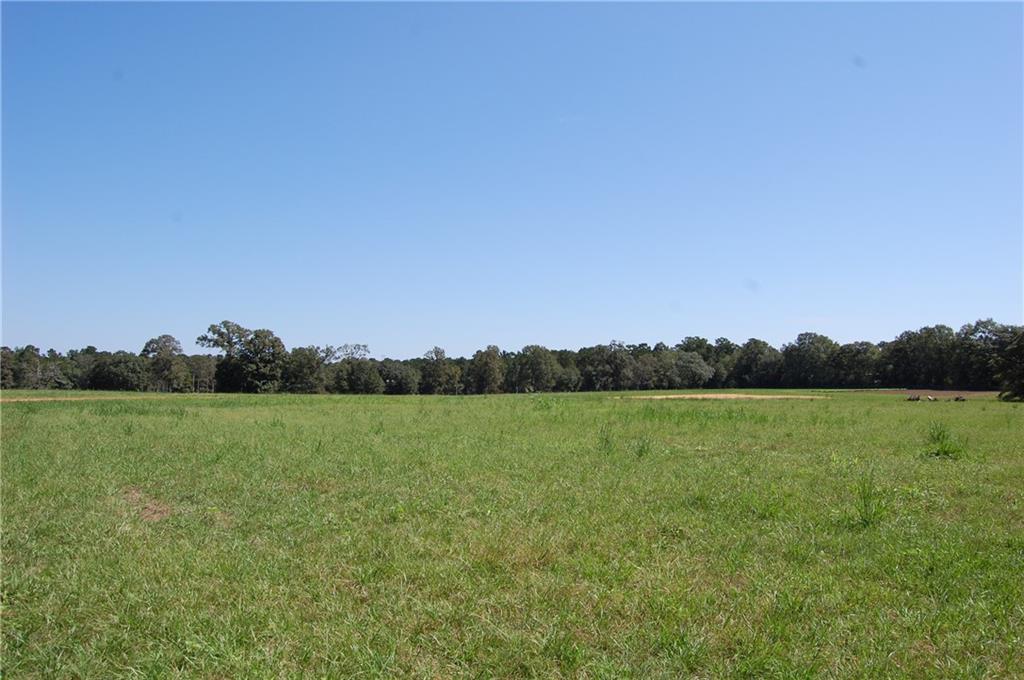 80 Acres La Tung Road, Covington, Louisiana image 36