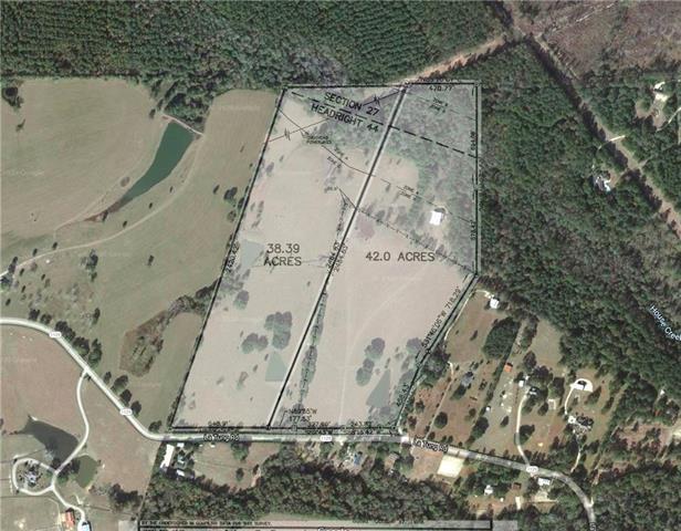 80 Acres La Tung Road, Covington, Louisiana image 4