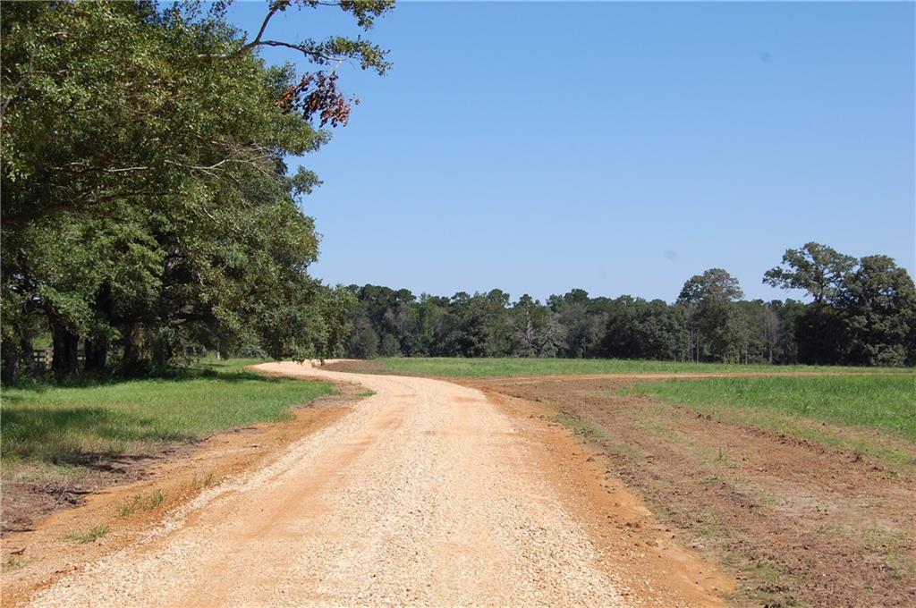 80 Acres La Tung Road, Covington, Louisiana image 5