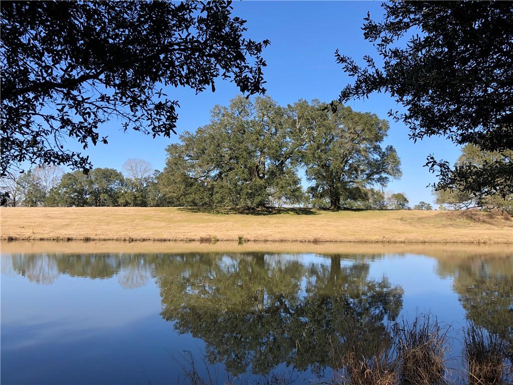 80 Acres La Tung Road, Covington, Louisiana image 6