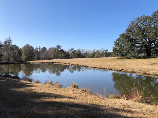 80 Acres La Tung Road, Covington, Louisiana image 7