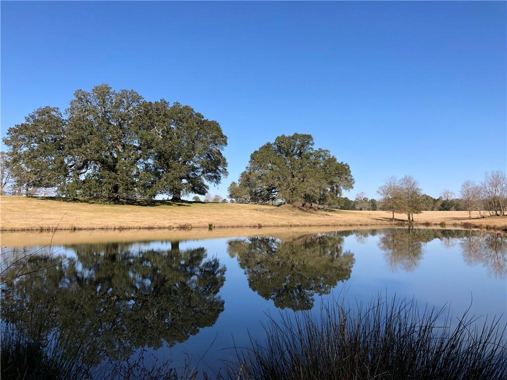 80 Acres La Tung Road, Covington, Louisiana image 8