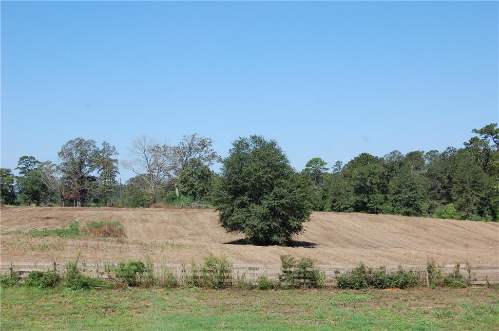 80 Acres La Tung Road, Covington, Louisiana image 9