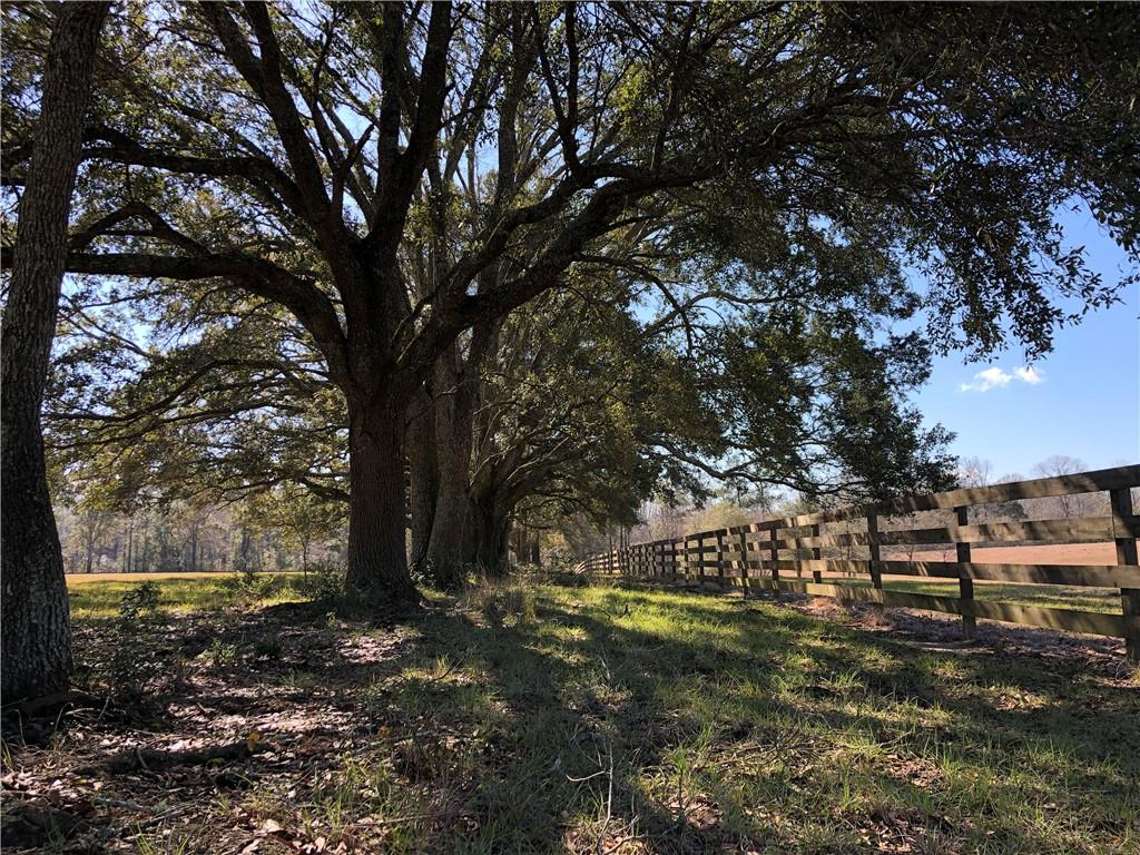 42 Acres La Tung Road, Covington, Louisiana image 24