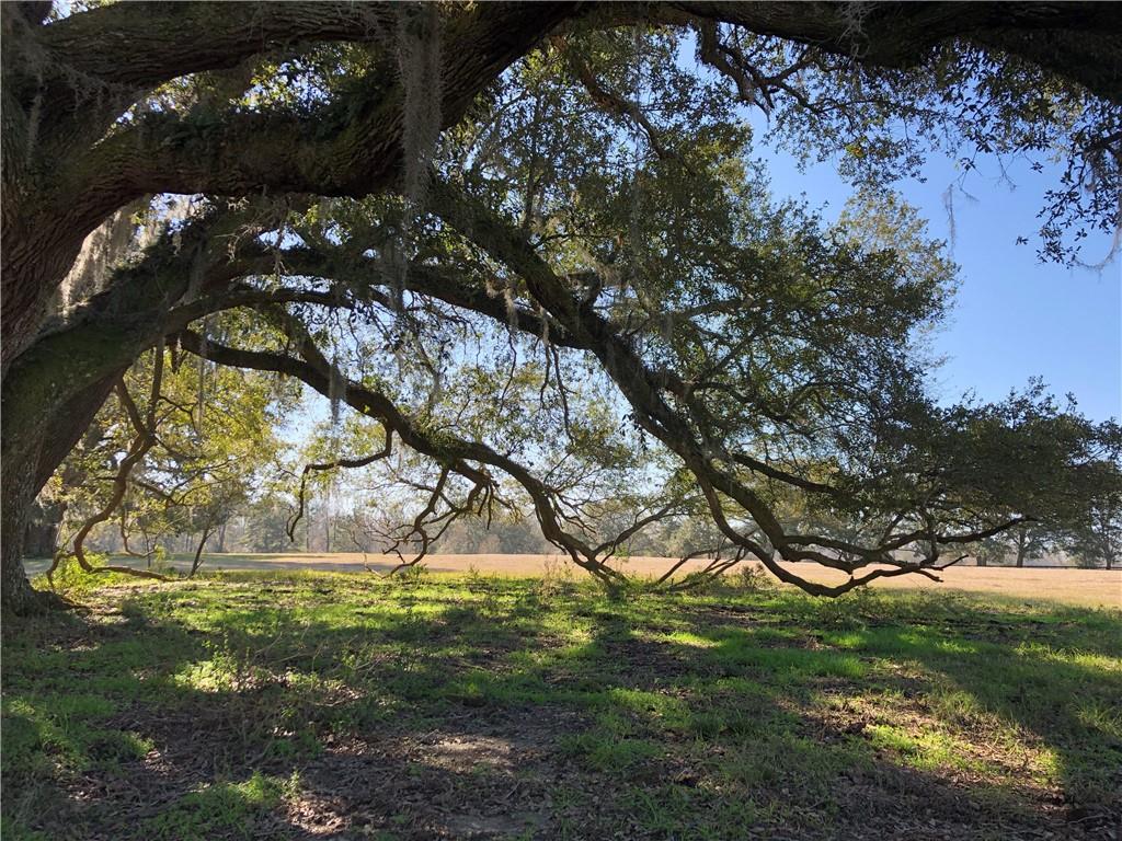 38 Acres La Tung Road, Covington, Louisiana image 20