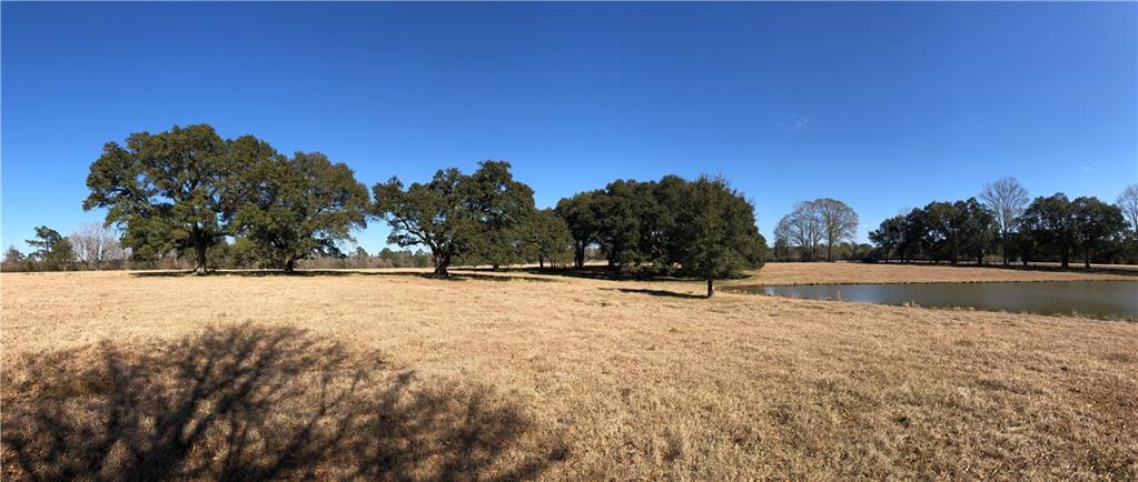 38 Acres La Tung Road, Covington, Louisiana image 30