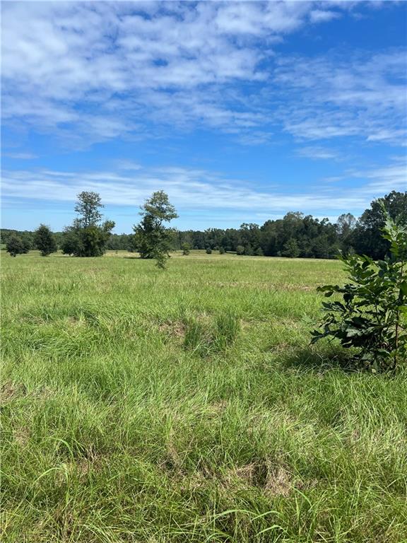 Lanaux Farm Road, Loranger, Louisiana image 1