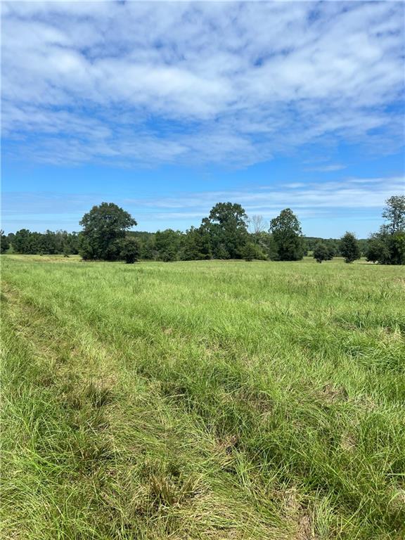 Lanaux Farm Road, Loranger, Louisiana image 2