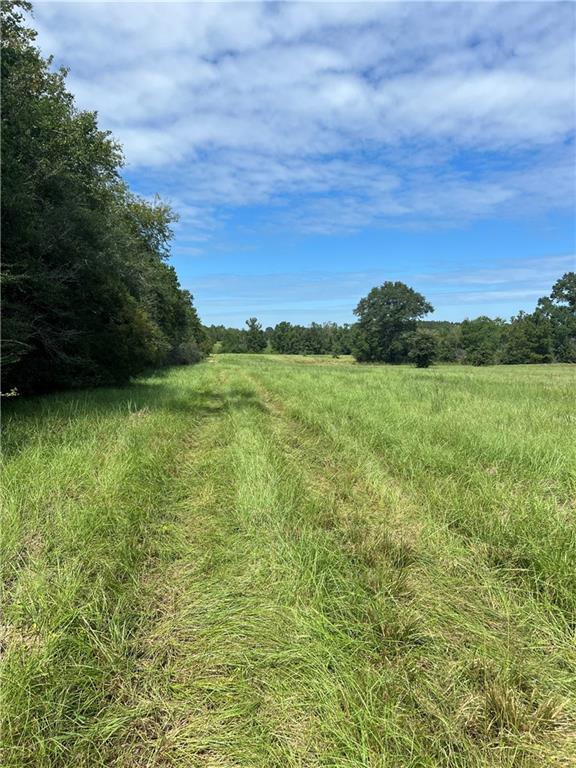 Lanaux Farm Road, Loranger, Louisiana image 3