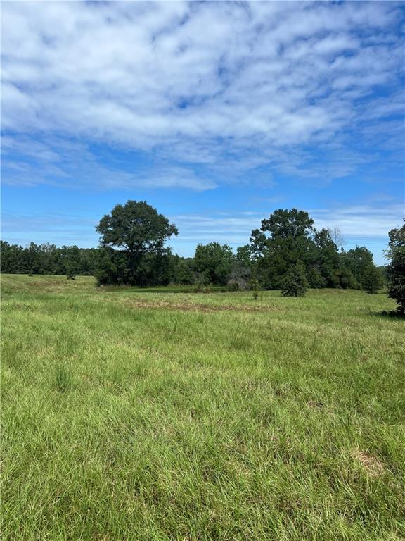 Lanaux Farm Road, Loranger, Louisiana image 6