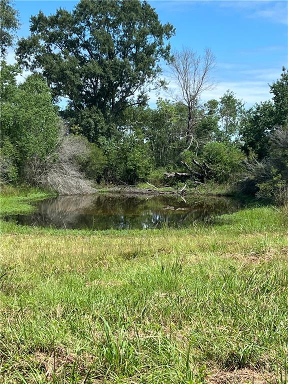 Lanaux Farm Road, Loranger, Louisiana image 7