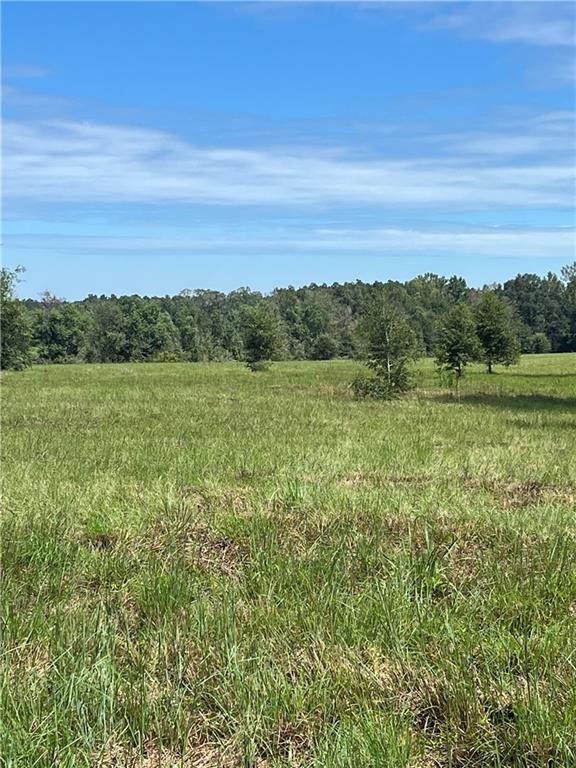 Lanaux Farm Road, Loranger, Louisiana image 8