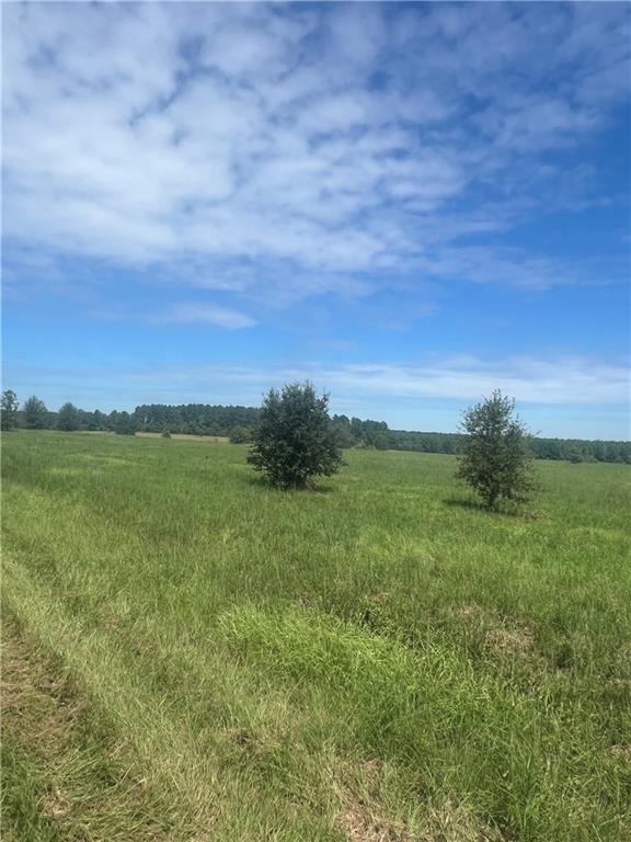 Lanaux Farm Road, Loranger, Louisiana image 9