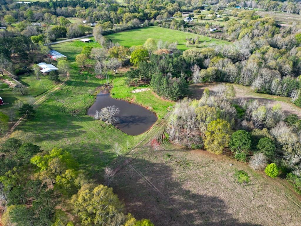 36453 Hwy 1055 Highway, Mount Hermon, Louisiana image 30