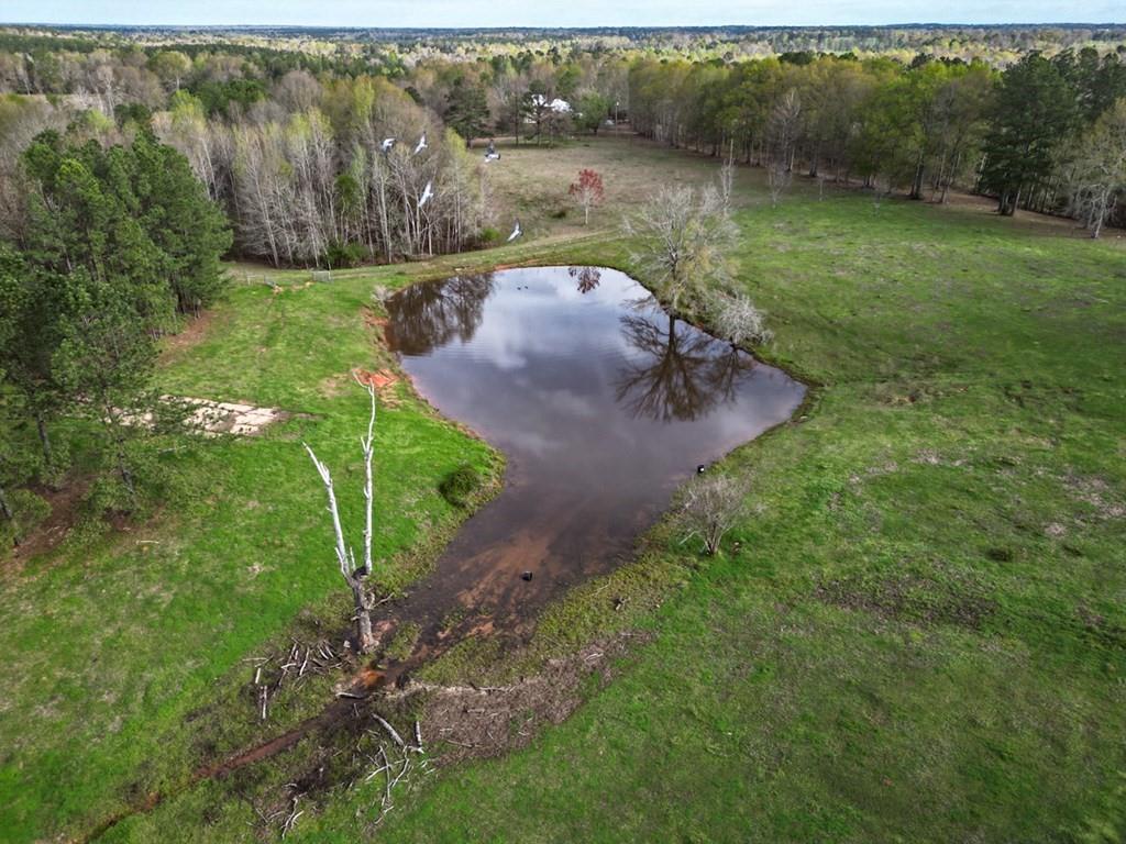 36453 Hwy 1055 Highway, Mount Hermon, Louisiana image 36