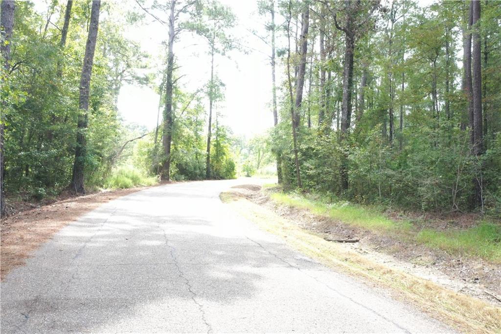 Horseshoe Road, Independence, Louisiana image 11