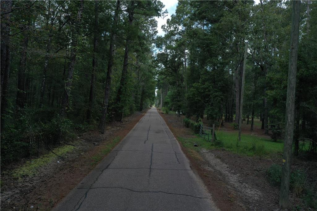 Horseshoe Road, Independence, Louisiana image 2