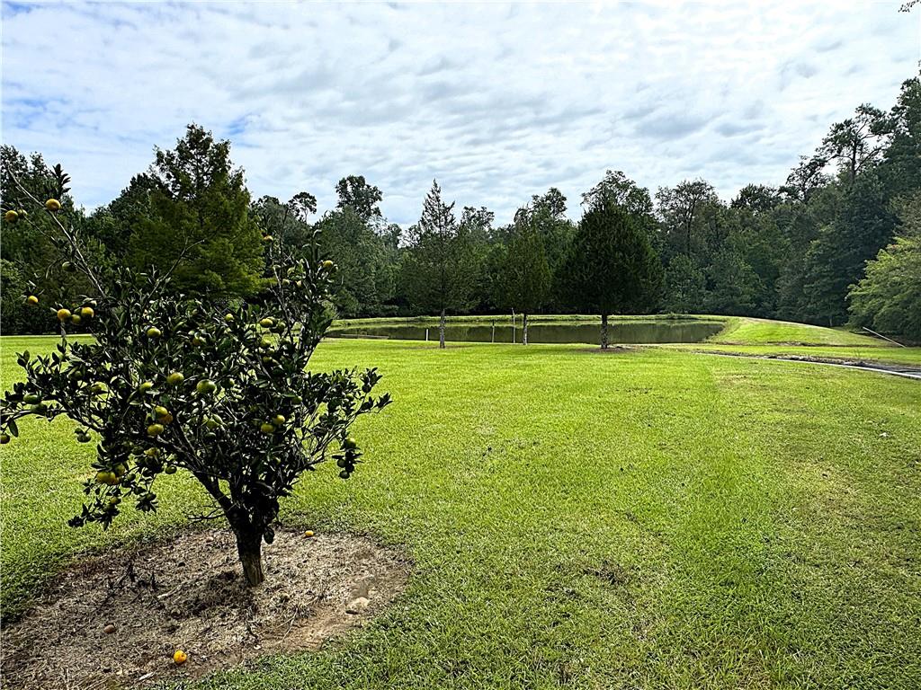 4.2 Acres Sheila Road, Folsom, Louisiana image 10