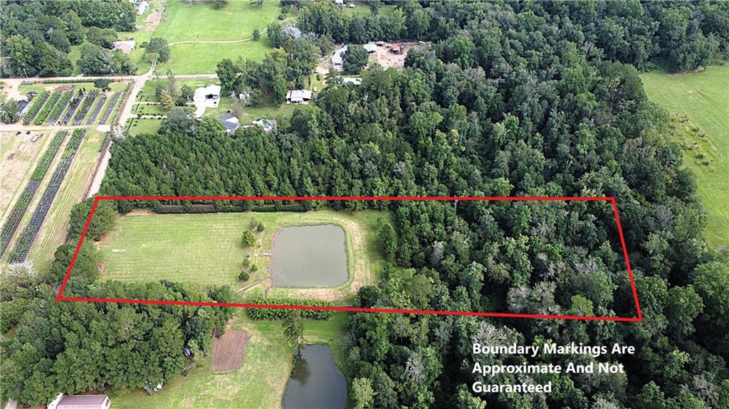 4.2 Acres Sheila Road, Folsom, Louisiana image 4