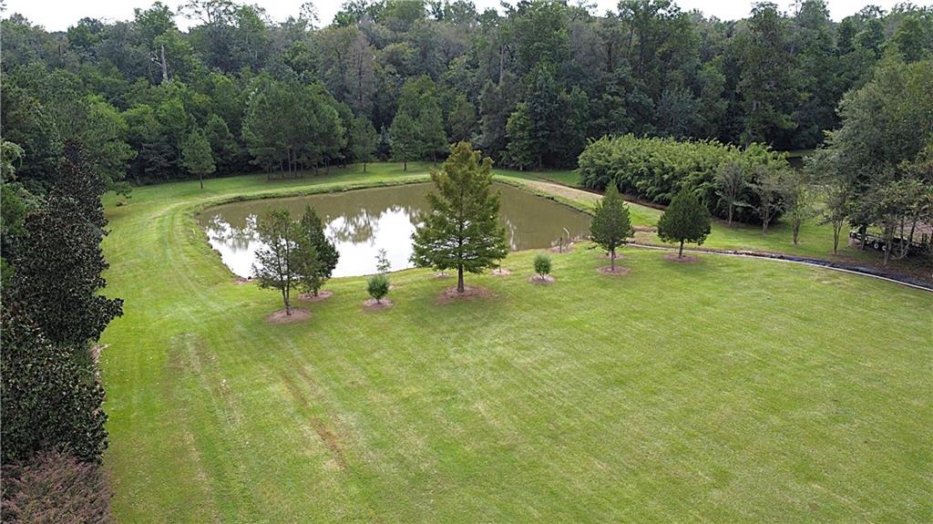 4.2 Acres Sheila Road, Folsom, Louisiana image 6