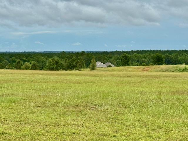 15 Short Look Drive, Carriere, Mississippi image 34