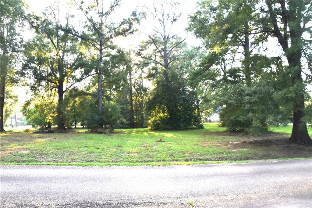 Lot 39 Trailhead Dr. Drive, Abita Springs, Louisiana image 1