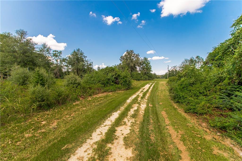 20317 Serenity Hills Drive, Franklinton, Louisiana image 30