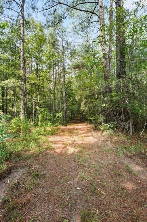 26261 Shelby Booty Road, Mount Hermon, Louisiana image 35