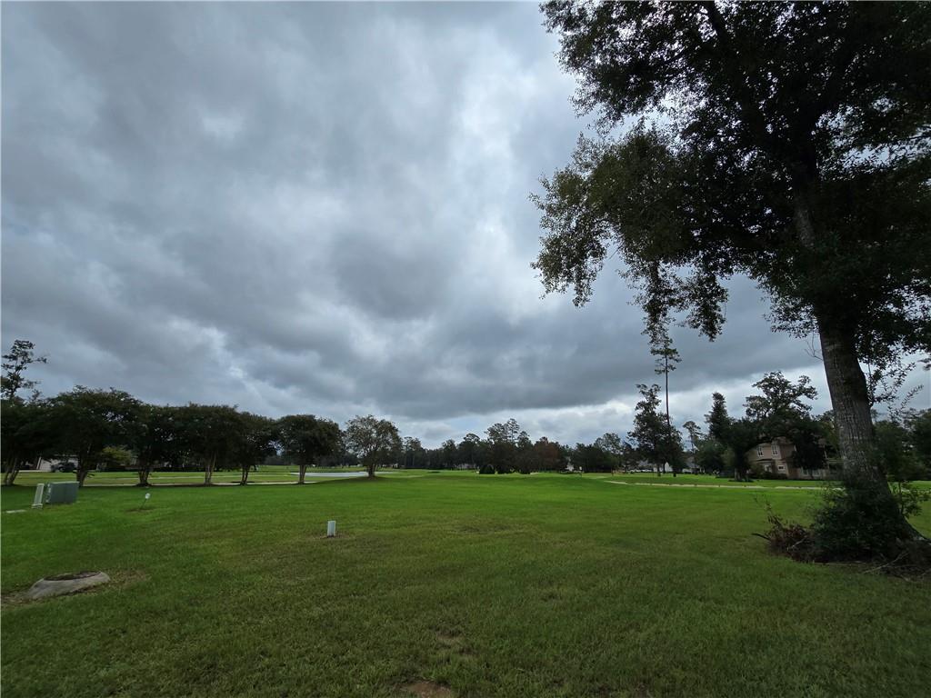 23792 Shady Oak Court Court, Springfield, Louisiana image 10