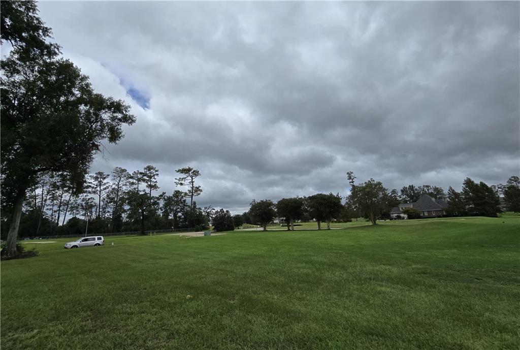 23792 Shady Oak Court Court, Springfield, Louisiana image 9