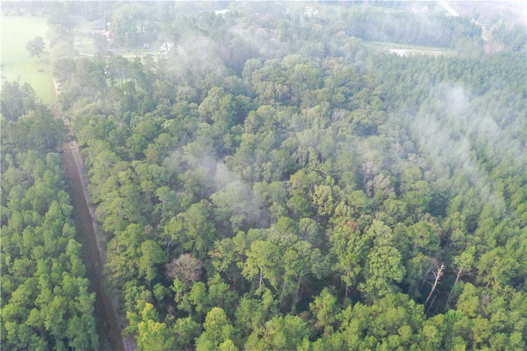 Ike Roberts Rd Road, Pine Grove, Louisiana image 11