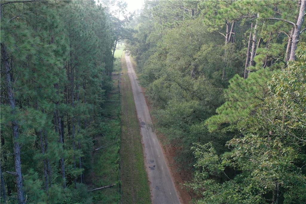 Ike Roberts Rd Road, Pine Grove, Louisiana image 12