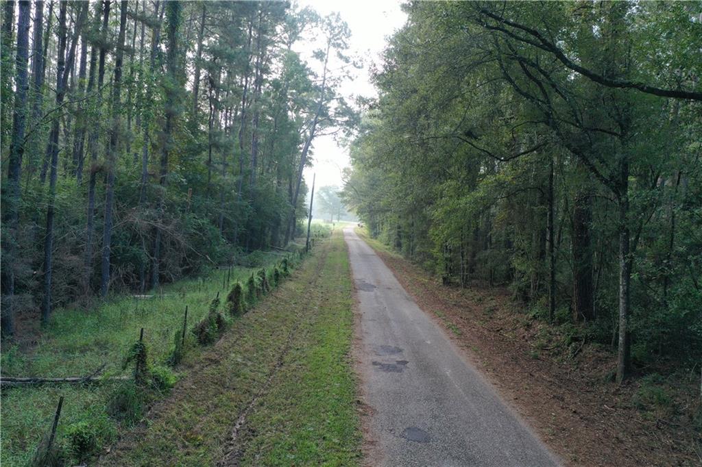 Ike Roberts Rd Road, Pine Grove, Louisiana image 19