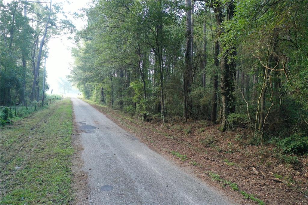 Ike Roberts Rd Road, Pine Grove, Louisiana image 7