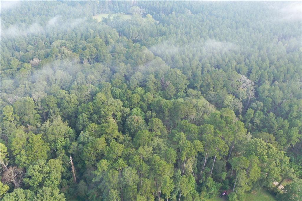 Ike Roberts Rd Road, Pine Grove, Louisiana image 9