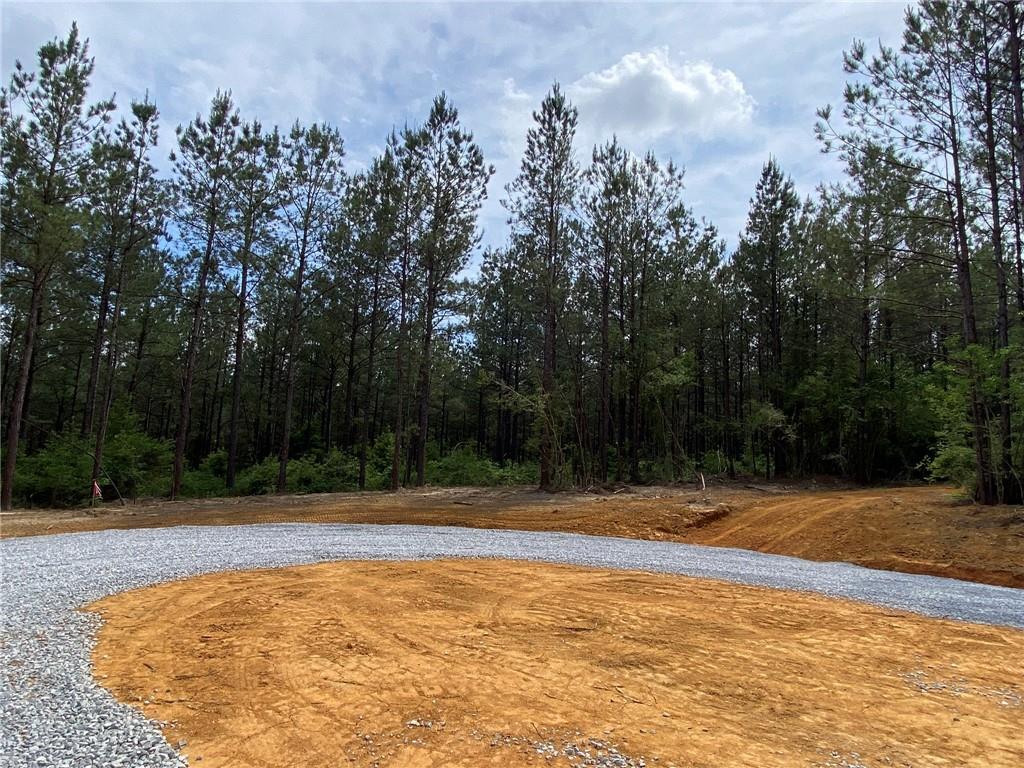 Lot 29 Erin Lane, Franklinton, Louisiana image 3