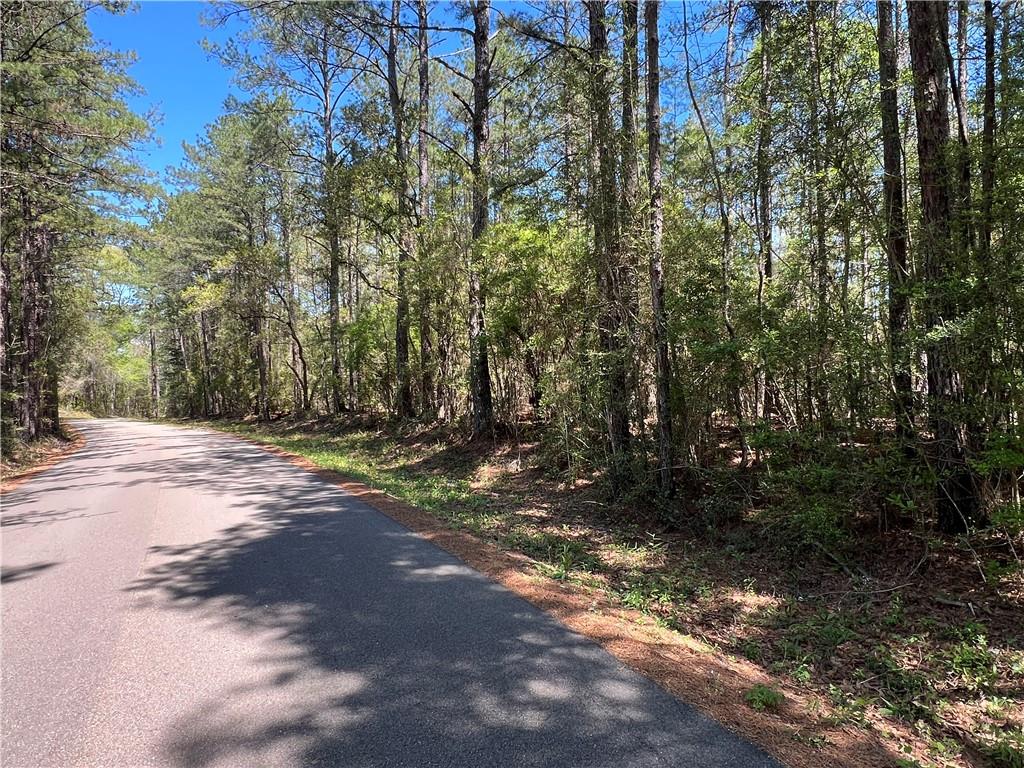 37.6 Acres House Creek Road, Bush, Louisiana image 6